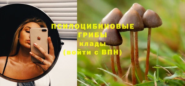 таблы Армянск