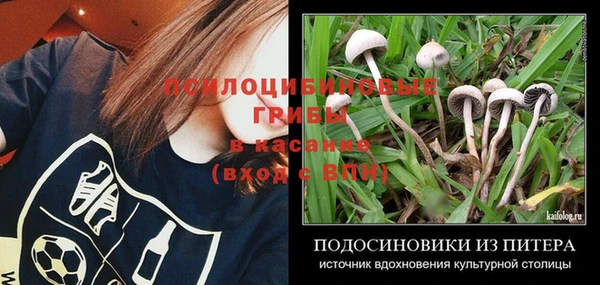 таблы Армянск