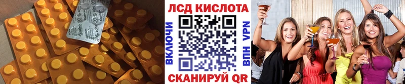 LSD-25 экстази ecstasy  KRAKEN зеркало  Новая Ладога 