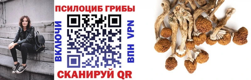 как найти закладки  Новая Ладога  Галлюциногенные грибы мухоморы 